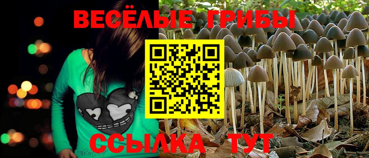 Псилоцибиновые грибы мицелий  Вход с VPN  Карабулак  Псилоцибиновые грибы GOLDEN TEACHER 