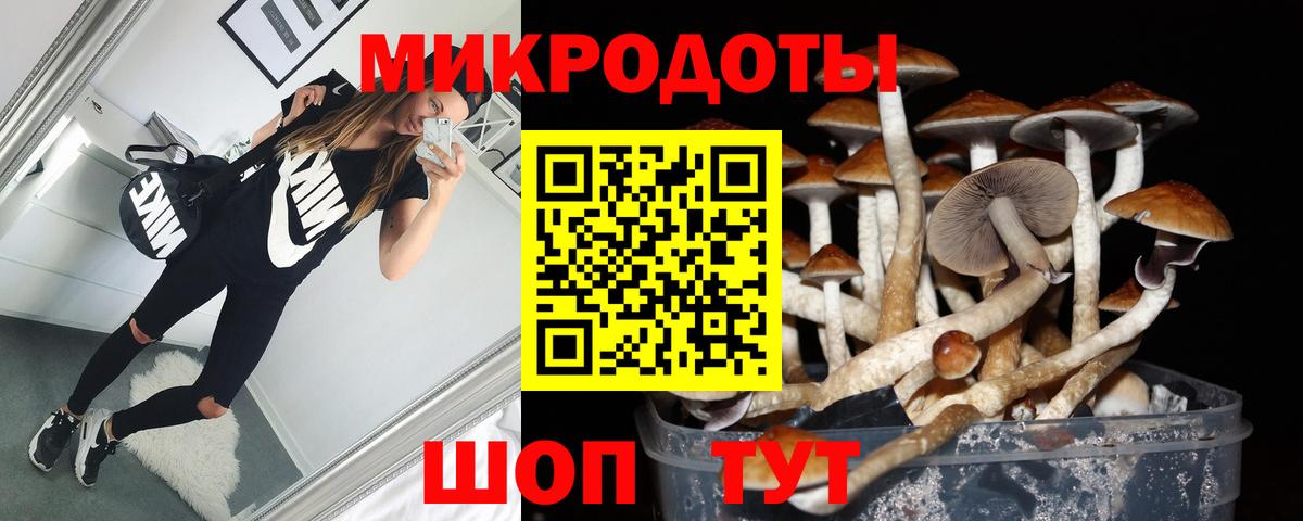 Галлюциногенные грибы Psilocybine cubensis Карабулак
